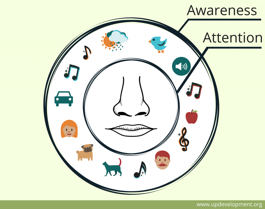 精通正念 || 定心练习的关键