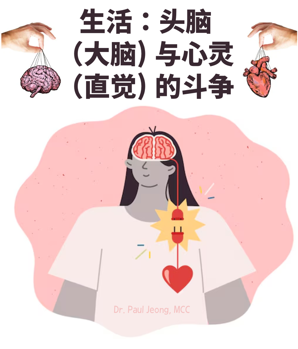 生活：头脑（大脑）与心（直觉）之间的斗争