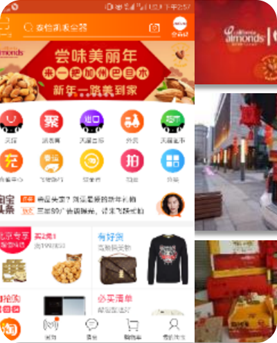 联合美国加州巴旦木协会