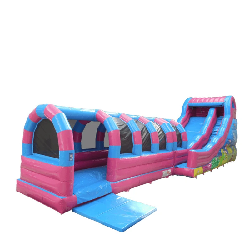 Large Pink And Blue Slide