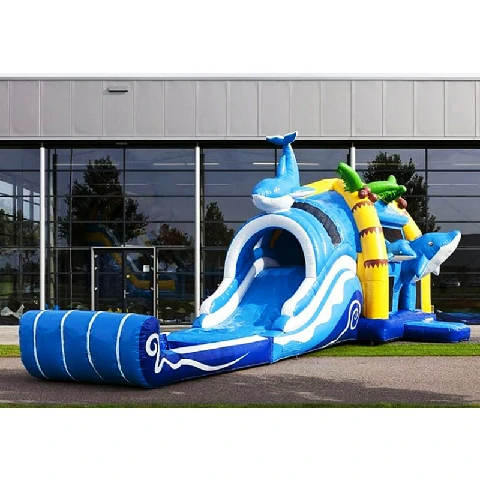 Multiplay Dolphin Super Inflatable Wet Combo Bouncer Water Slide