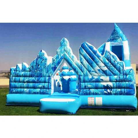 Frozen Castle Inflatale Combo Bounce Slide
