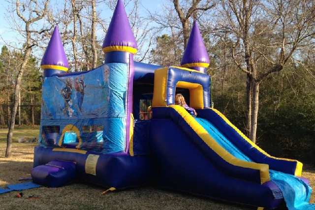 Frozen Inflatable Bounce House Slide Combo