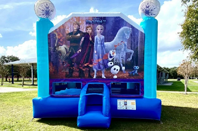 Frozen Inflatable Bounce House Jumping Castle
