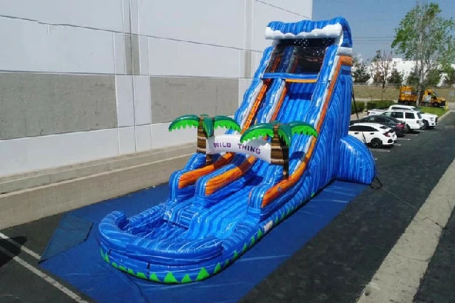 22ft Tropical Inflatable Water Slide with Pool