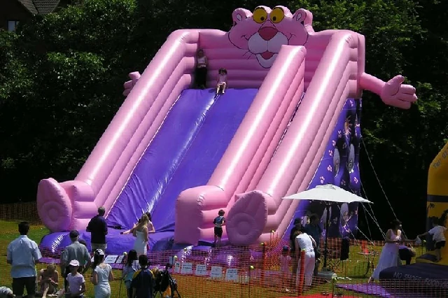 22ft Pink Panther Mega Slide Inflatable Dry Slide