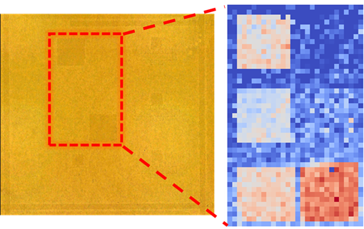 无损高效创标杆，技术赋能显担当——深圳平湖实验室分析检测中心建立“无损快速的Raman测量SiC微区载流子浓度能力”