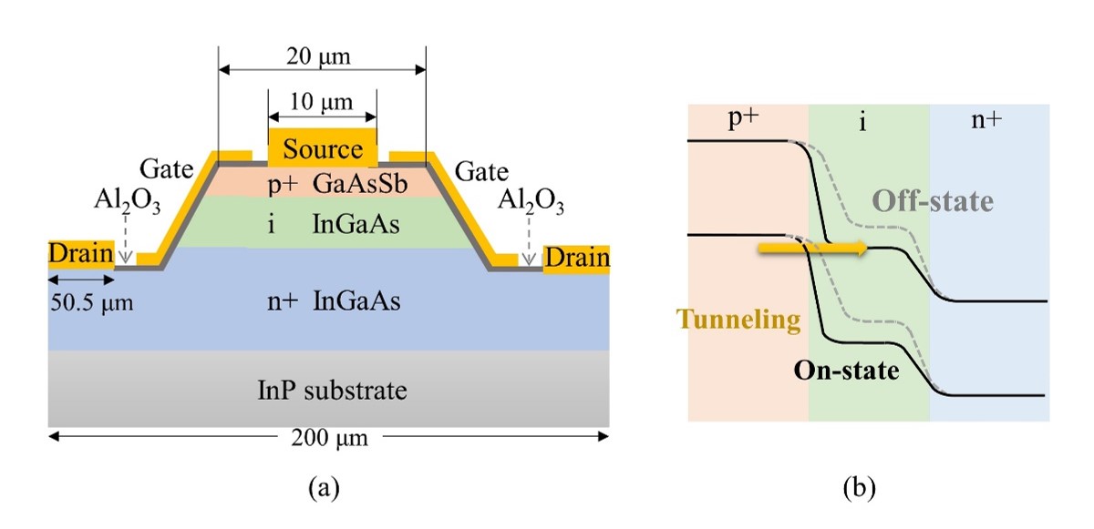 深圳平湖实验室刘妍博士和李翔博士在国际知名期刊发表科研成果
