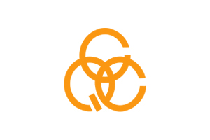 国际质量管理小组会议