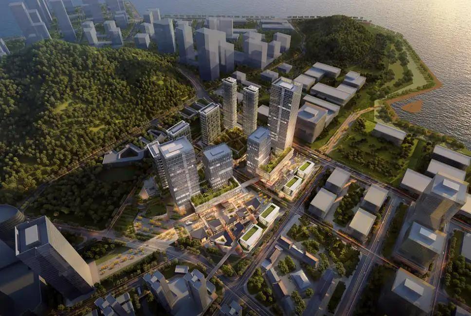 深圳赤湾核心区展新颜——赤湾华英路边坡的生态之变