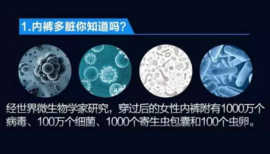 摆脱细菌困扰！探索聚乳酸内裤的独特魅力