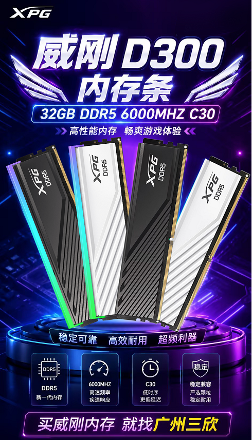 广州三欣，威刚 XPG D300 DDR5 6000 C30 内存条产品