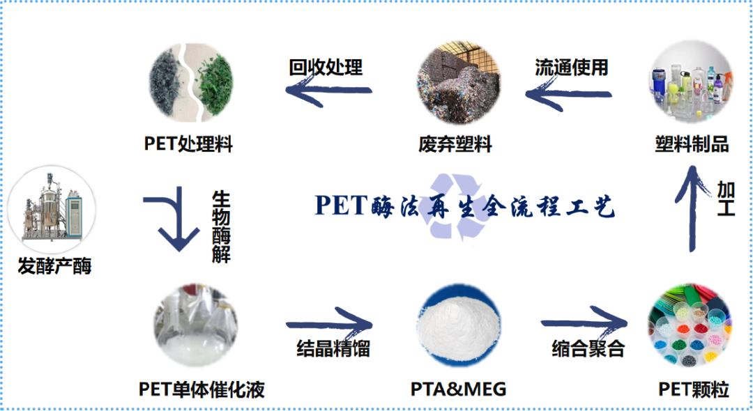 国内首家废弃PET塑料生物酶法闭环再生及产业化企业：源天生物的创新与实践 | ChinaReplas2025赞助商风采