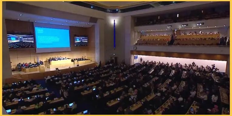 人民日报：2024年全球塑料消费量据估突破5亿吨，其中3.99亿吨沦为废弃物（国际视点）