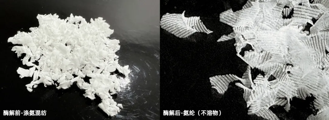 再获千万融资！源天生物1年完成3轮融资，PA6酶法回收取得重大进展