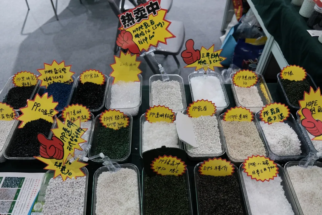 DSCF1580.JPG