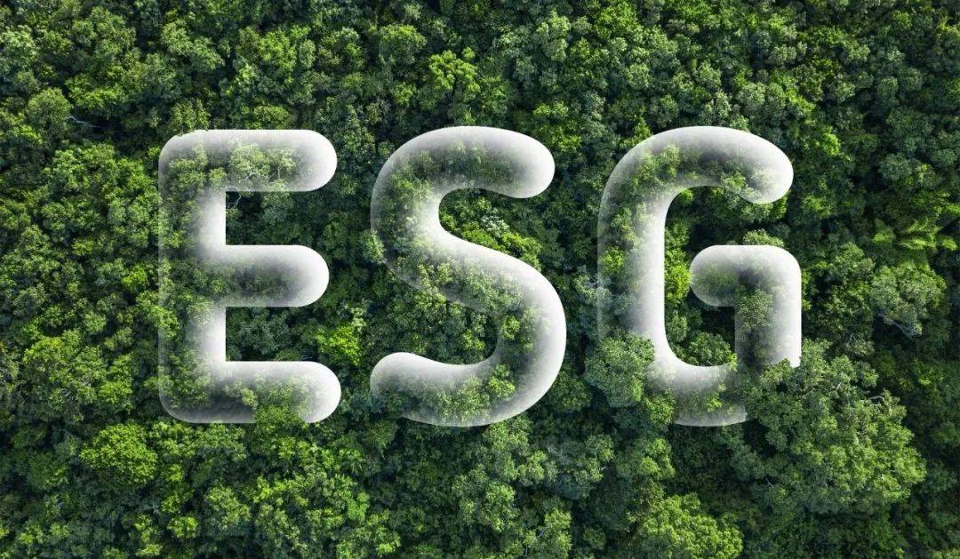 ESG服务