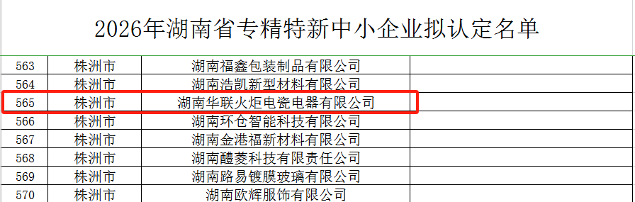 坚持专业化发展 | 华联火炬跻身省级“专精特新”梯队