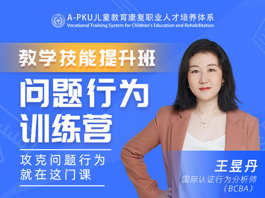 问题行为处理专项提升培训