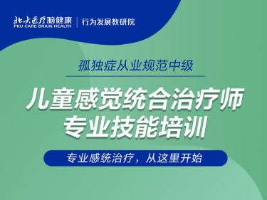 儿童感觉统合治疗师专业技能培训