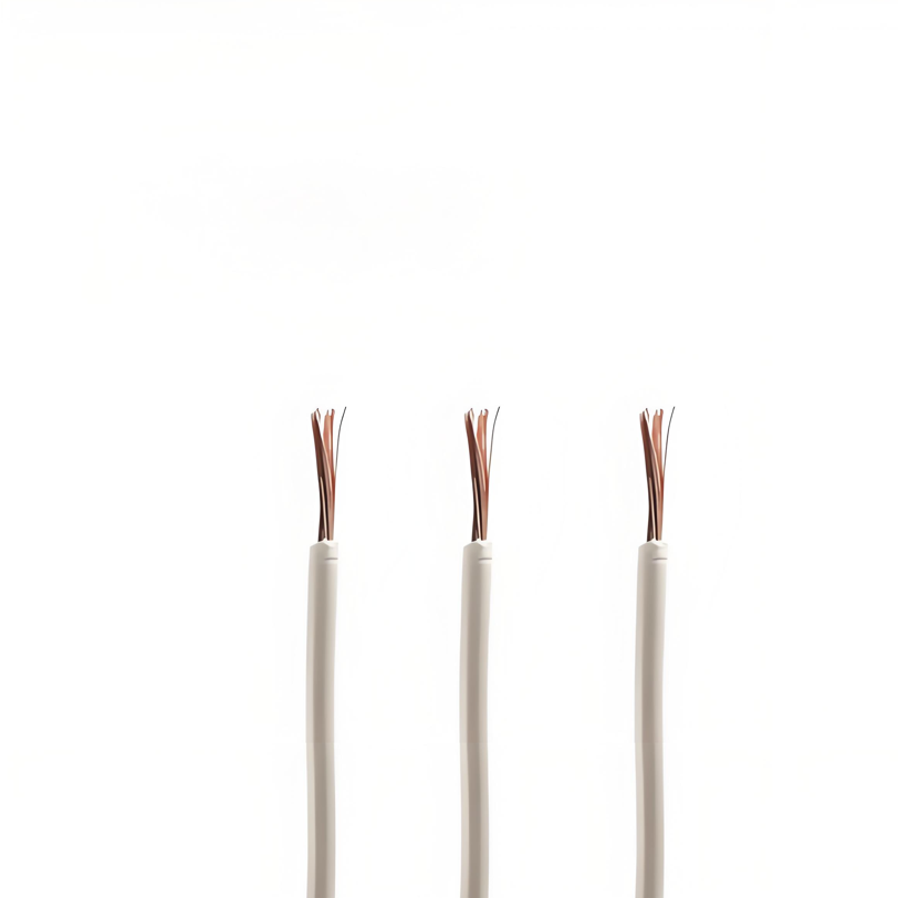 Fluoropolymer Insulated Wire