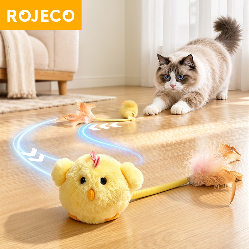 Interactive Chicken Cat Toy