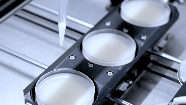 解放你的双手，微生物检测人看过来！