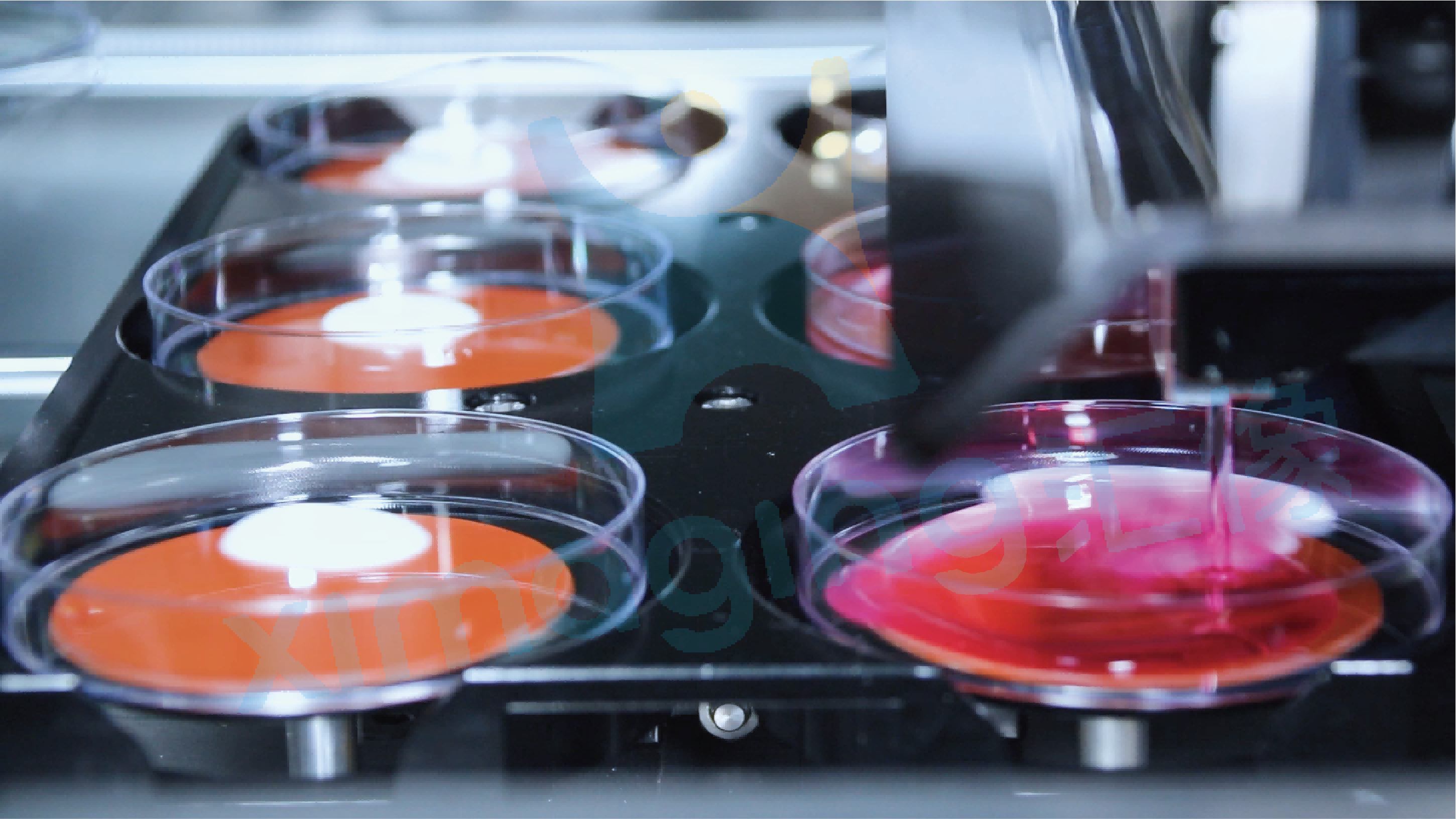 又一关键性成果，汇像科技破局微生物检测困境