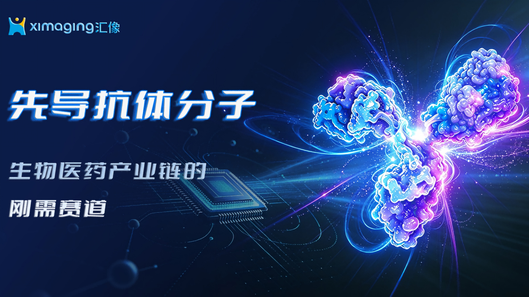 AI 与自动化重塑先导抗体发现：解码创新药物研发底层范式