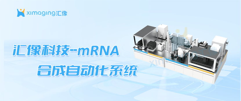 汇像智能mRNA自动化系统：为个性化肿瘤疫苗的“时间之战”提供加速方案