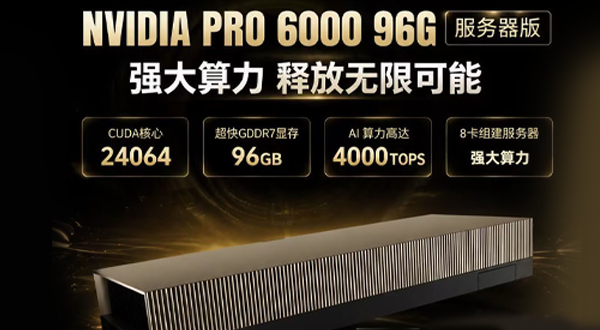 广州丽泰  NVIDIA RTX PRO 6000 96G Blackwell （服务器版）