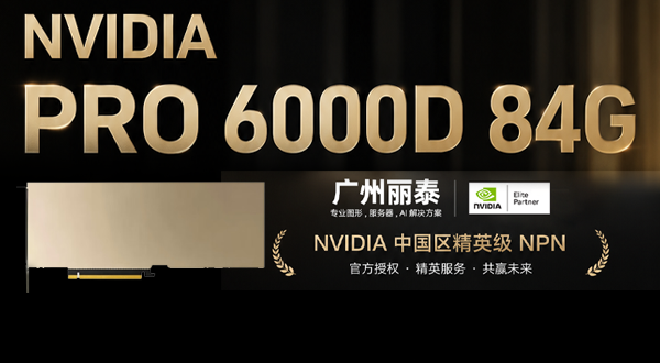 广州丽泰 NVIDIA PRO 6000D 84G