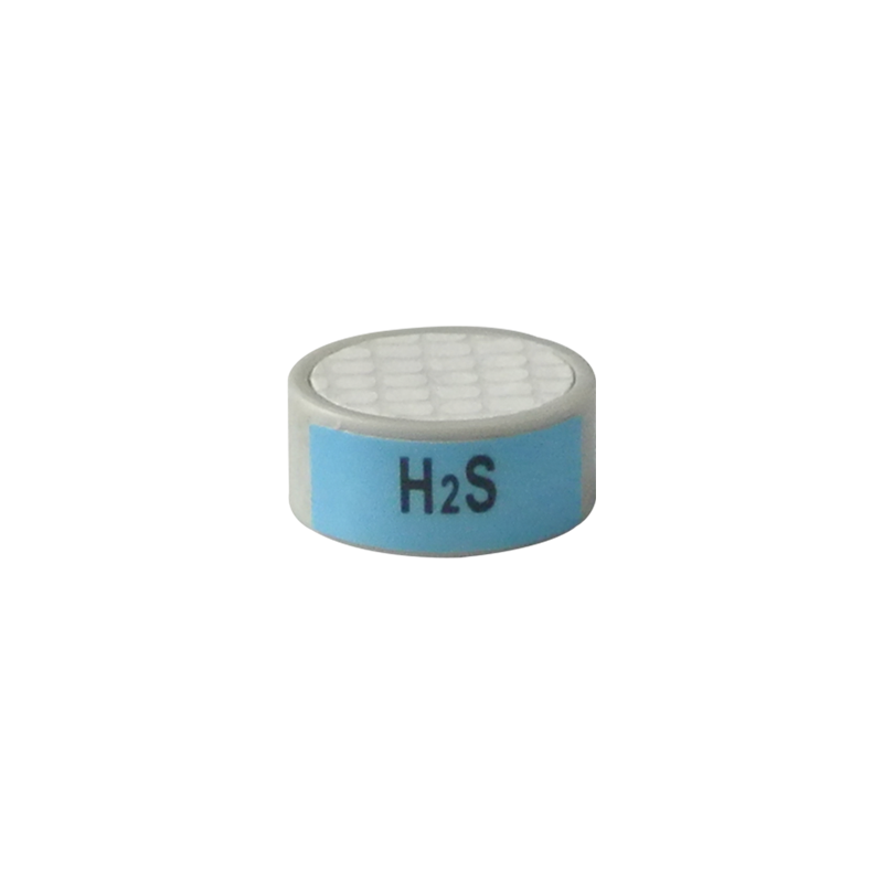Mini H2S-100 CLE-0112-S00
