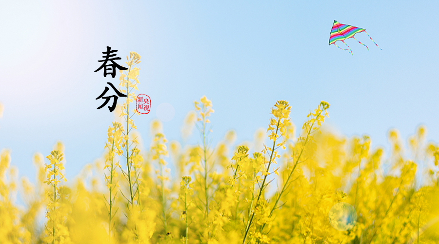 春风丨明朝种树是春分