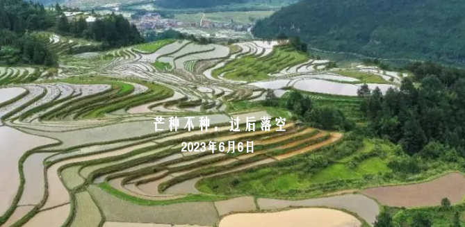 芒种丨芒种不种，过后落空