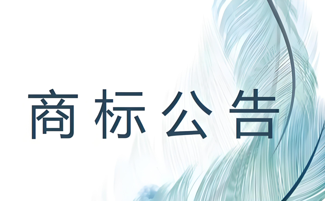 G-CONNECT英文商标启用公告