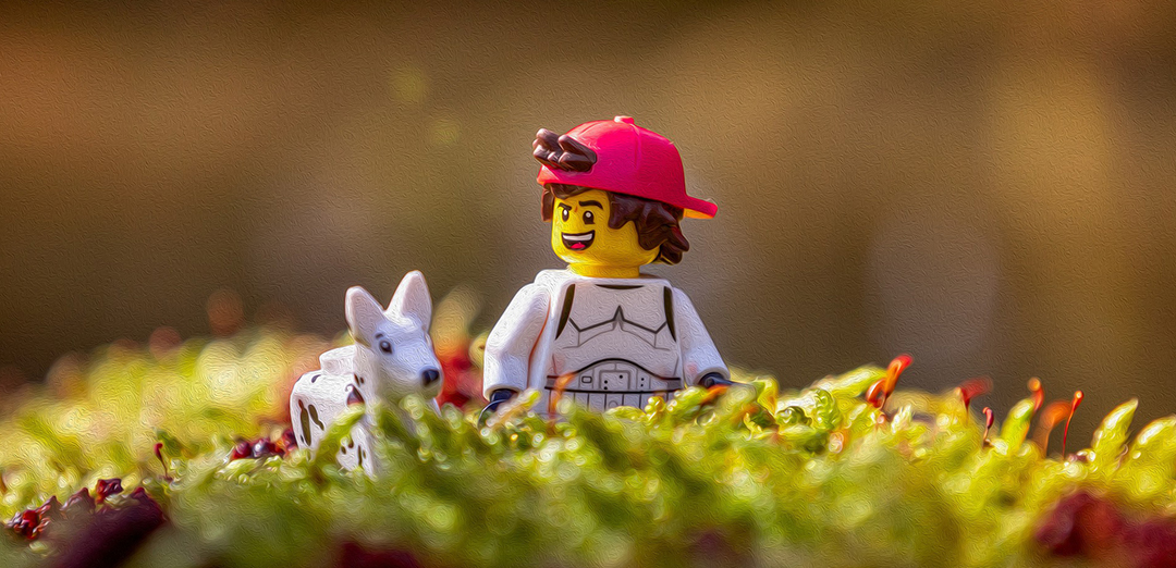 好的客户体验一定能带来高的回报