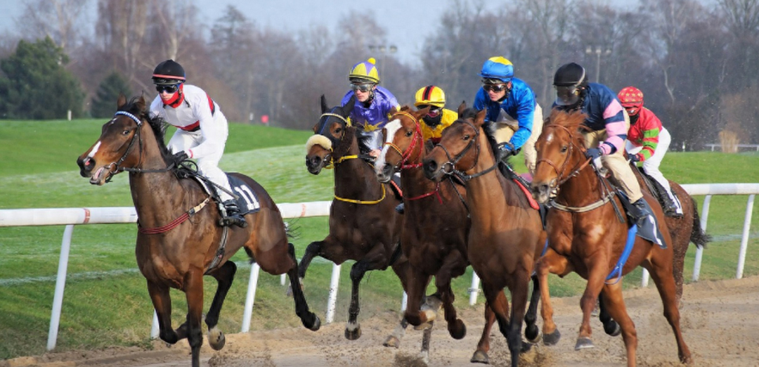 控制竞争领域的5条准则