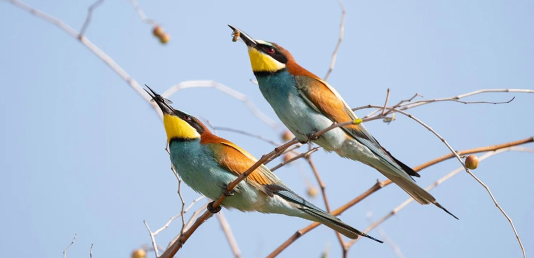 关注员工发展，打造学习型组织