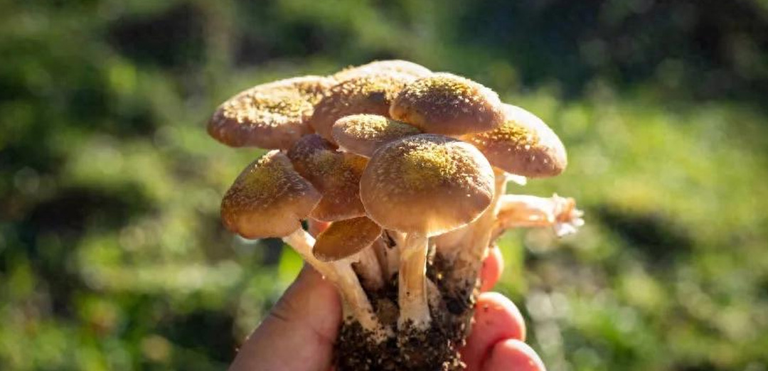 降低“人才逆差“，提升人才投资回报