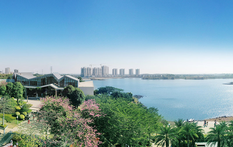 广东湛江休闲康养小镇