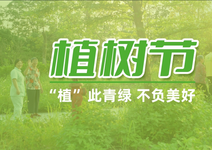 植树节 | “植”此青绿 不负美好
