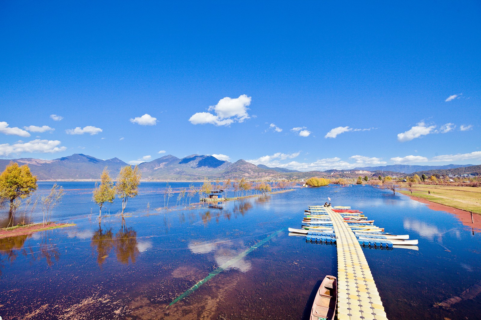 2024年3月29日 发布全员旅行通知