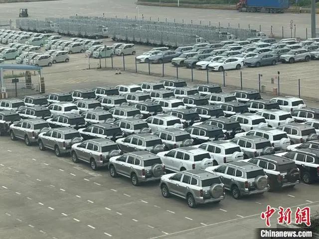 中欧班列（武汉）开行笼车专列助汽车“出海”