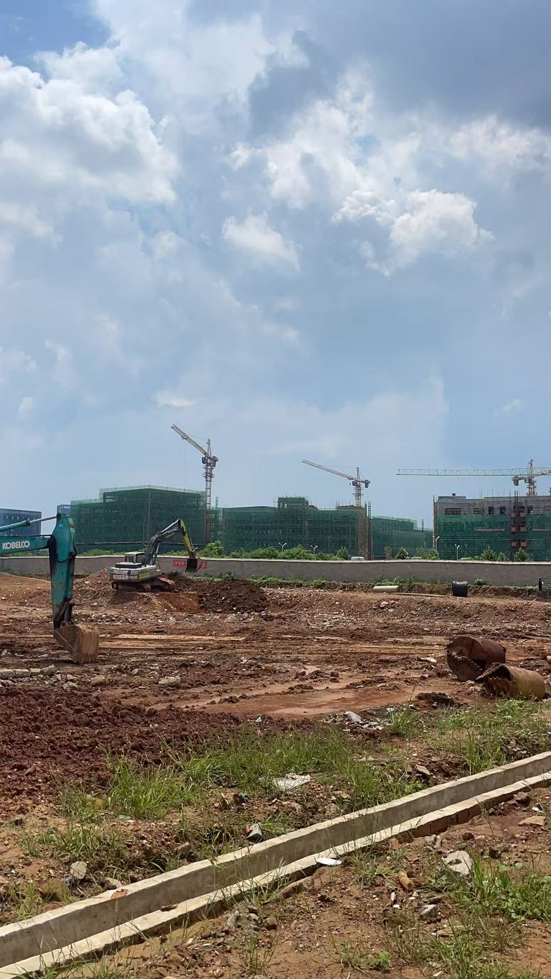 8017e9f96dcbb093bd61d761d56e1cb