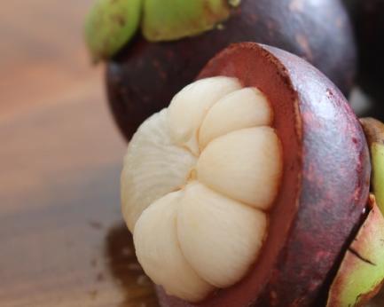 mangosteen fruit extract