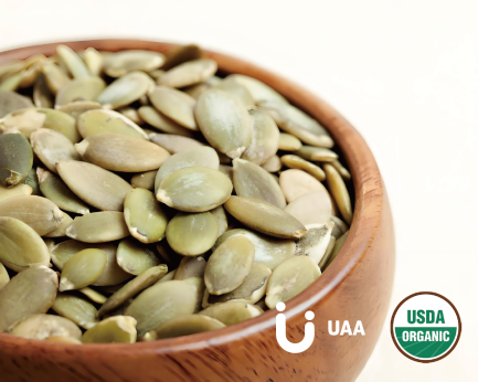 Organic Pumpkin Seed Protein