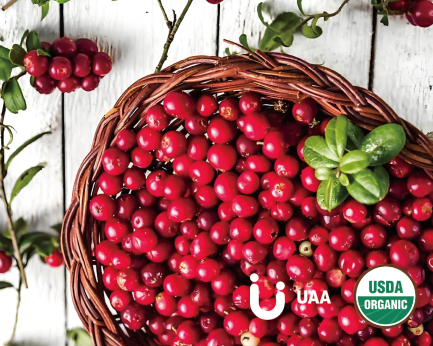 Cranberry Powder/Juice Powder/Extract