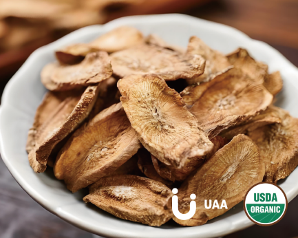 Burdock Powder/Extract