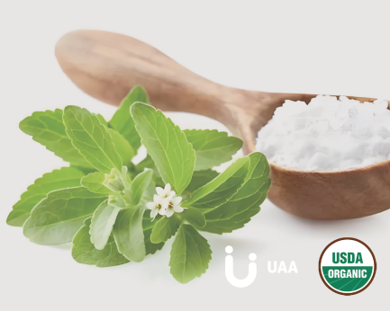 Inulin (Cichorium intybus L.)